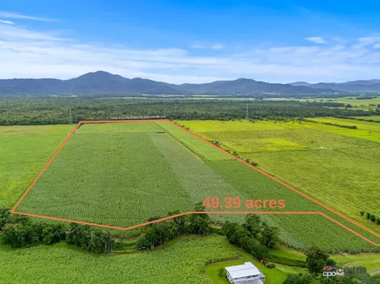 101 Bruce Highway, Bellenden Ker, Qld 4871