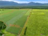 101 Bruce Highway, Bellenden Ker, Qld 4871-Image