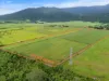 101 Bruce Highway, Bellenden Ker, Qld 4871-Image