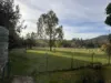 101 Pound Creek Road, Tumbarumba, NSW 2653-Image