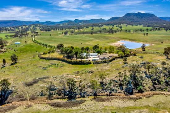 1011 Pyangle Road, Mudgee, NSW 2850