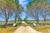 1011 Pyangle Road, Mudgee, NSW 2850-Image