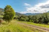 1012 Boonabilla Road, Gresford, NSW 2311-Image