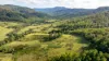 1012 Boonabilla Road, Gresford, NSW 2311-Image