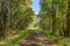 1012 Boonabilla Road, Gresford, NSW 2311-Image