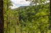 1012 Boonabilla Road, Gresford, NSW 2311-Image