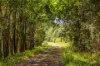 1012 Boonabilla Road, Gresford, NSW 2311-Image