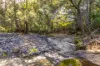 1012 Boonabilla Road, Gresford, NSW 2311-Image