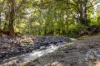 1012 Boonabilla Road, Gresford, NSW 2311-Image