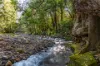 1012 Boonabilla Road, Gresford, NSW 2311-Image