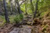 1012 Boonabilla Road, Gresford, NSW 2311-Image