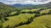 1012 Boonabilla Road, Gresford, NSW 2311-Image