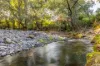 1012 Boonabilla Road, Gresford, NSW 2311-Image