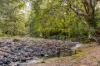 1012 Boonabilla Road, Gresford, NSW 2311-Image