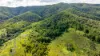 1012 Boonabilla Road, Gresford, NSW 2311-Image