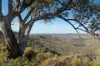 1018 Mount Aquila Road, Stuart Town, NSW 2820-Image