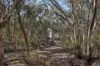 1018 Mount Aquila Road, Stuart Town, NSW 2820-Image