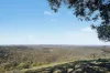 1018 Mount Aquila Road, Stuart Town, NSW 2820-Image