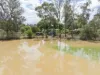 102  Golden Vale Road, Benalla, Vic 3672-Image