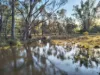 102  Golden Vale Road, Benalla, Vic 3672-Image