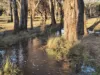102  Golden Vale Road, Benalla, Vic 3672-Image