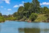 103 Callaghans Creek Road, Bundook NSW 2422-Image