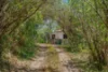 103 Callaghans Creek Road, Bundook NSW 2422-Image