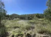 103 Mooney Road, Gaeta, Qld 4671-Image