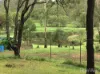 103 Mooney Road, Gaeta, Qld 4671-Image