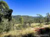 103 Mooney Road, Gaeta, Qld 4671-Image