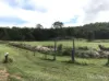 103 Mooney Road, Gaeta, Qld 4671-Image