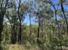 103 Mooney Road, Gaeta, Qld 4671-Image