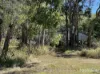 103 Mooney Road, Gaeta, Qld 4671-Image