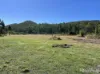 103 Mooney Road, Gaeta, Qld 4671-Image