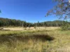 103 Mooney Road, Gaeta, Qld 4671-Image