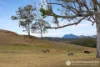 1033 Croftby Road, Croftby, Qld 4310-Image