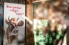 1034 The Escort Way, Orange, NSW 2800-Image
