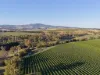 1034 The Escort Way, Orange, NSW 2800-Image
