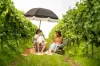1034 The Escort Way, Orange, NSW 2800-Image