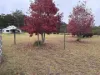 10383 Bunya Highway, Taabinga, Qld 4610-Image