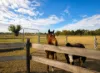 10383 Bunya Highway, Taabinga, Qld 4610-Image
