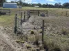 10383 Bunya Highway, Taabinga, Qld 4610-Image