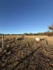 10383 Bunya Highway, Taabinga, Qld 4610-Image