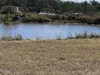 10383 Bunya Highway, Taabinga, Qld 4610-Image
