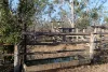 104 Arthur Street, Westwood, Qld 4702-Image