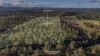 1043 Clarence Way, Whiteman Creek, NSW 2460