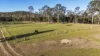 1043 Clarence Way, Whiteman Creek, NSW 2460-Image