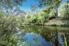 1043 Clarence Way, Whiteman Creek, NSW 2460-Image