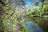 1043 Clarence Way, Whiteman Creek, NSW 2460-Image