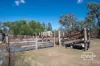 1043 Wallangra Road, Wallangra, NSW 2360-Image